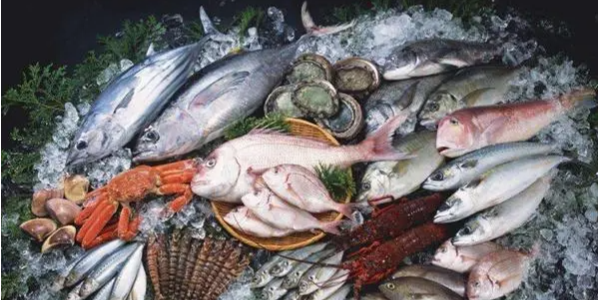 微信截圖_20230418085451