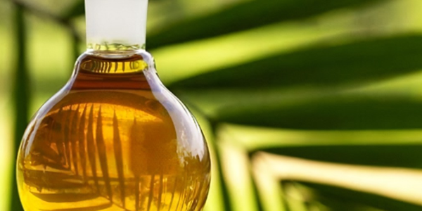 微信截圖_20220819095135