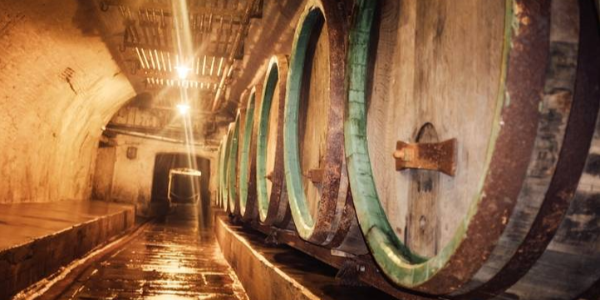 微信截圖_20230110095652