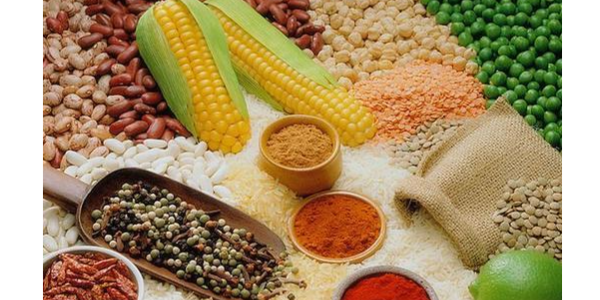 微信截圖_20230213095248