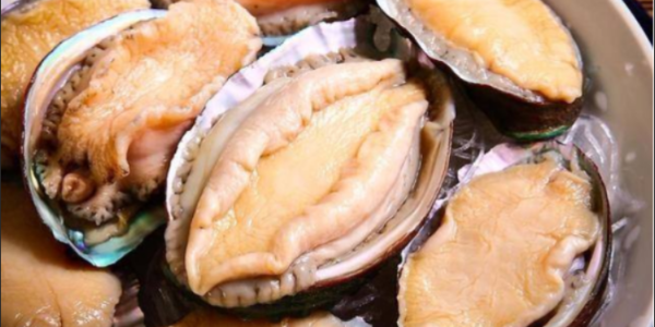 QQ截圖20221225104852