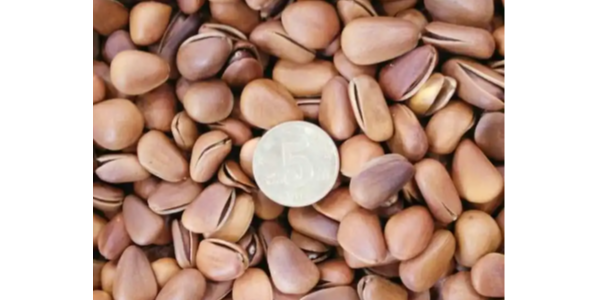 微信截圖_20230327091845