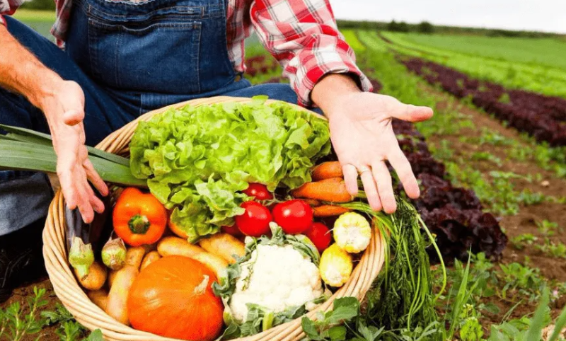 今年前7個月越南農(nóng)產(chǎn)品貿(mào)易順差近63億美元