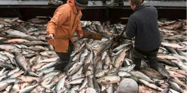 微信截圖_20230404085402