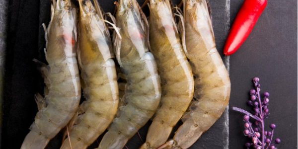 微信截圖_20230404090553