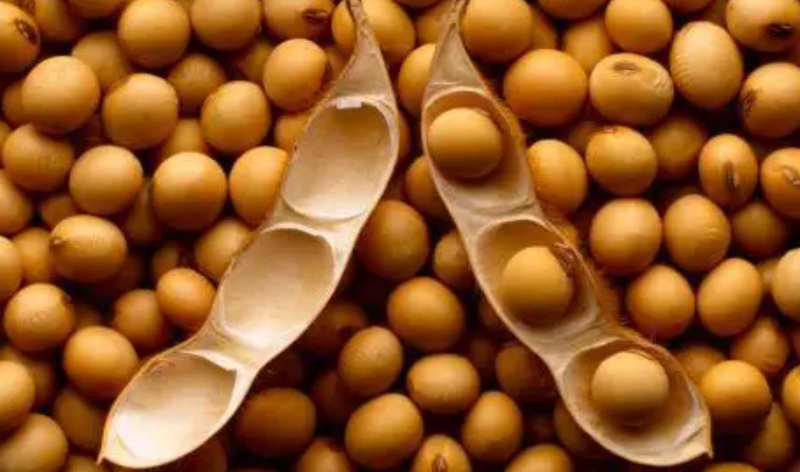 2022年巴西大豆對華出口量已超3520萬噸