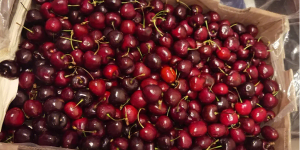 微信截圖_20230129101430