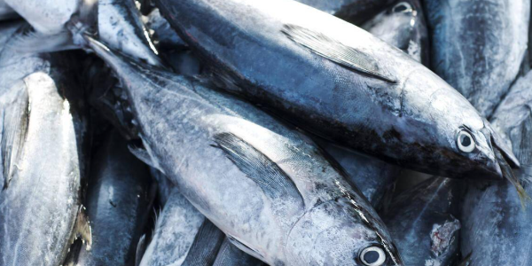 微信截圖_20230129092214