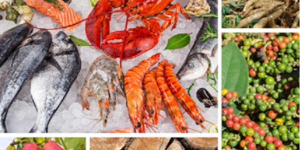 微信截圖_20230129093127