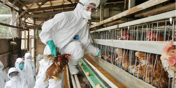 微信截圖_20230111095837