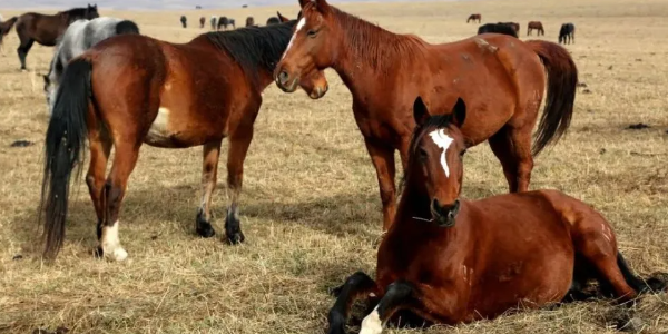 微信截圖_20230223084240