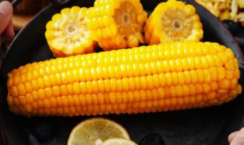 歐洲玉米豐收前景黯淡