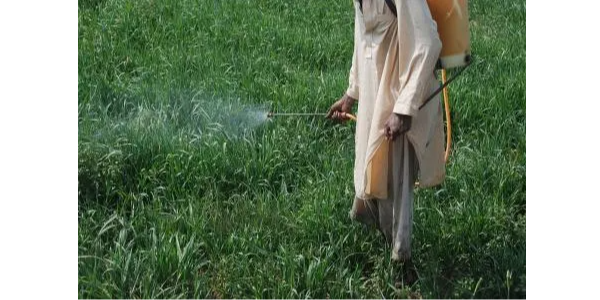 微信截圖_20230217100349