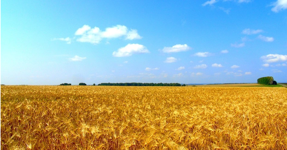 微信截圖_20230217093332