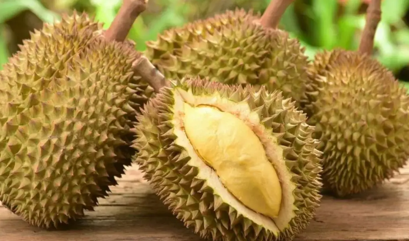 泰國榴蓮出口中國 有望突破50萬噸