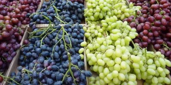 微信截圖_20230309090853