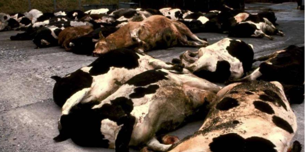 微信截圖_20230309091513