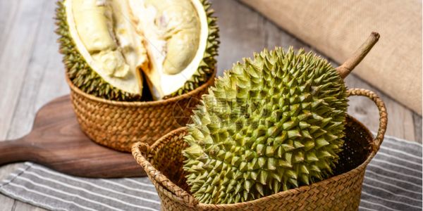 微信截圖_20230104103754