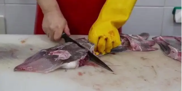 微信截圖_20230221101301