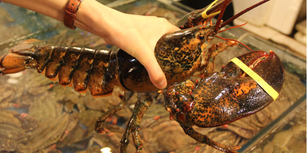 微信截圖_20230221093130