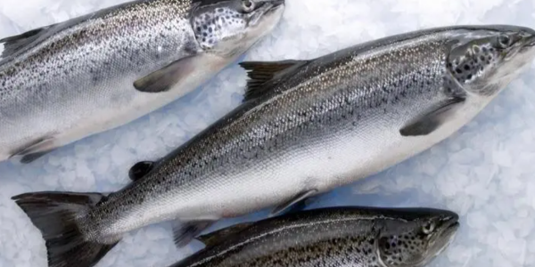 微信截圖_20230221093512