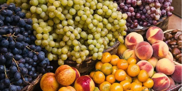 微信截圖_20230307084501