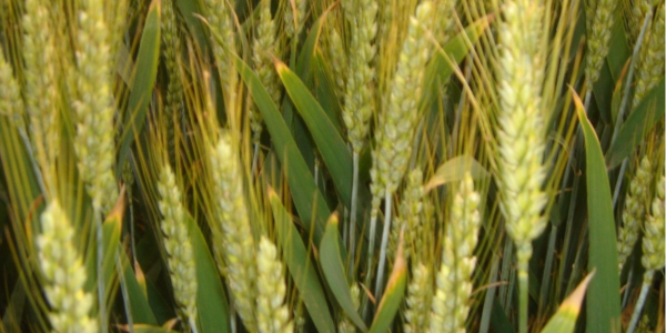 QQ截圖20221224104143