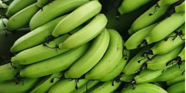 微信截圖_20230412091646