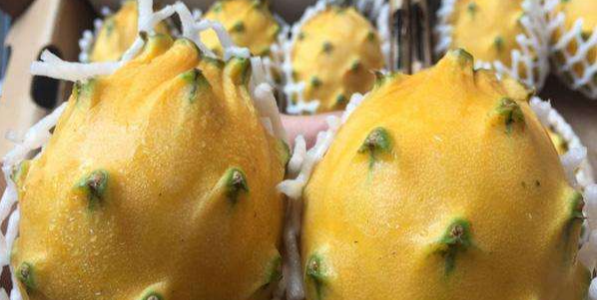 微信截圖_20230412091946